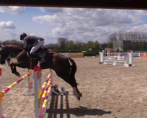 Reitturnier Neustadt/Dosse 2021