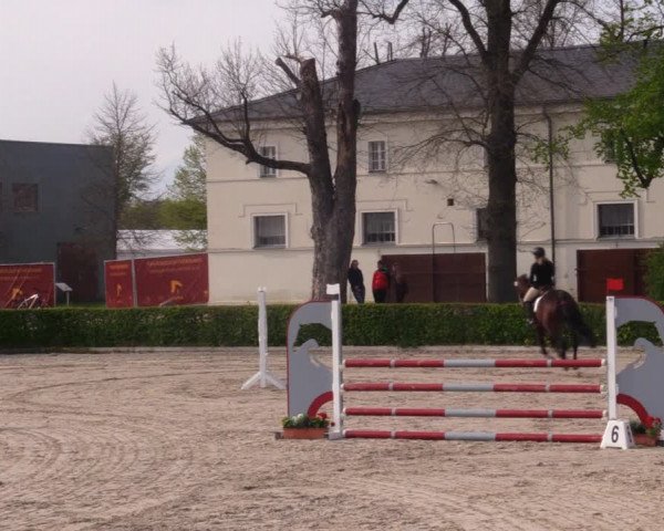 Reitturnier Neustadt/Dosse 2021