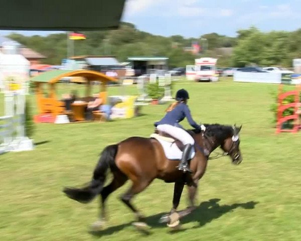 jumper Friedenstein (Oldenburg, 2001, from Friedensfürst)