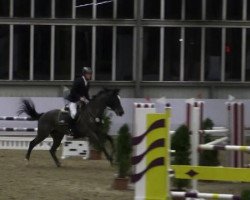 jumper Gina B 10 (Oldenburg, 2000, from Lamentos)