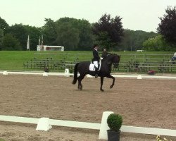 dressage horse Doylek (Oldenburg, 2005, from Damon Hill)