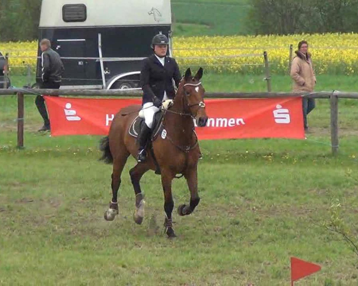 jumper Chuck Le Vainqueur (Oldenburg, 2003, from Chalan)