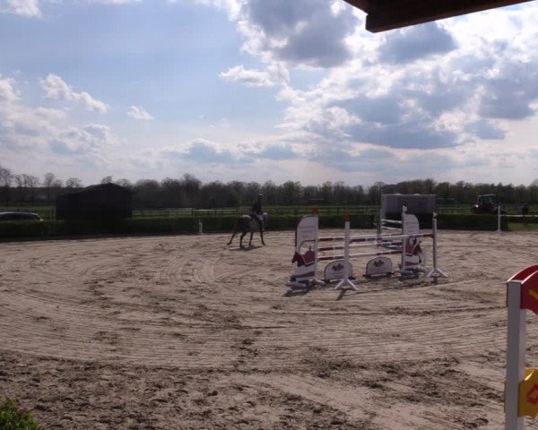 Reitturnier Neustadt/Dosse 2021