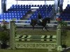 dressage horse Dark Moon 6 (Westphalian, 2000, from Danny de Vito 2)