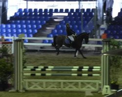 dressage horse Dark Moon 6 (Westphalian, 2000, from Danny de Vito 2)