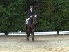 dressage horse Ribery (Rhinelander, 2005, from Riccione)