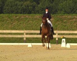 dressage horse EMH Freixenet (Württemberger, 2002, from Fidermark)