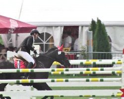 jumper Valentina 56 (Bavarian, 2005, from Stakkato Gold)