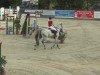 jumper Voodoo 8 (KWPN (Royal Dutch Sporthorse), 2002, from Celano)