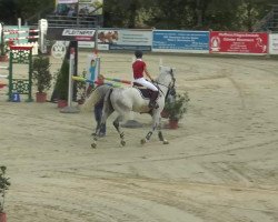 jumper Voodoo 8 (KWPN (Royal Dutch Sporthorse), 2002, from Celano)