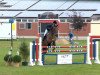 jumper Rispadillo (Hanoverian, 2000, from Regazzoni)