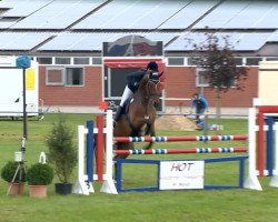 jumper Rispadillo (Hanoverian, 2000, from Regazzoni)