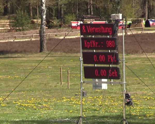Reitturnier Westergellersen 2021