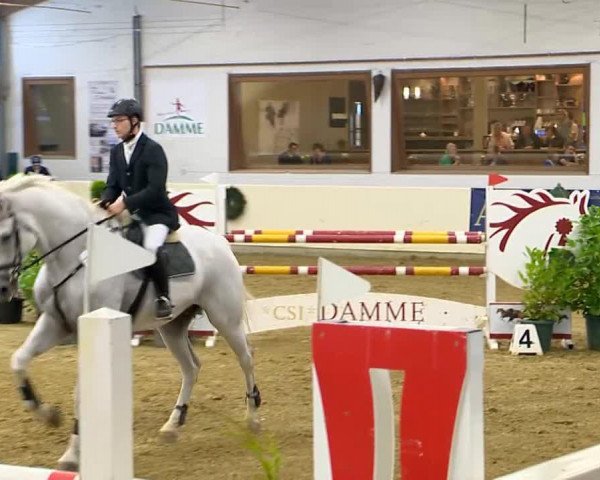 jumper Caspar L (Oldenburg show jumper, 2004, from Cellestial)