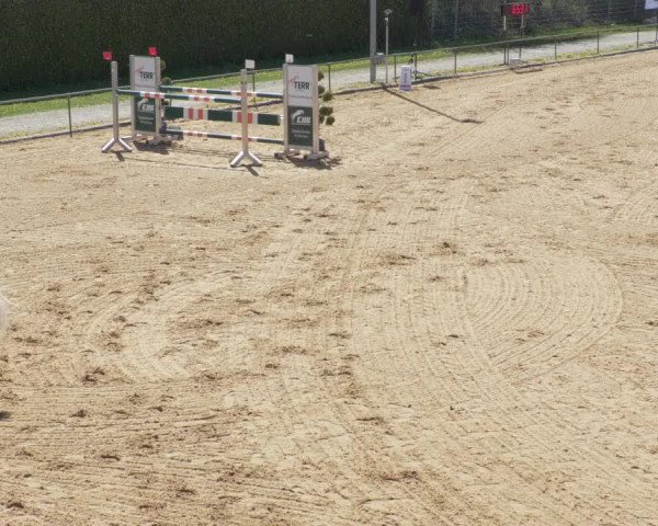 Reitturnier Zoltingen/Schw. 2021