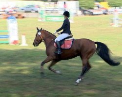 jumper Benissa (Oldenburg, 2004, from Balou du Rouet)