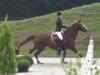 broodmare Cinderella (Oldenburg, 1996, from Continue)