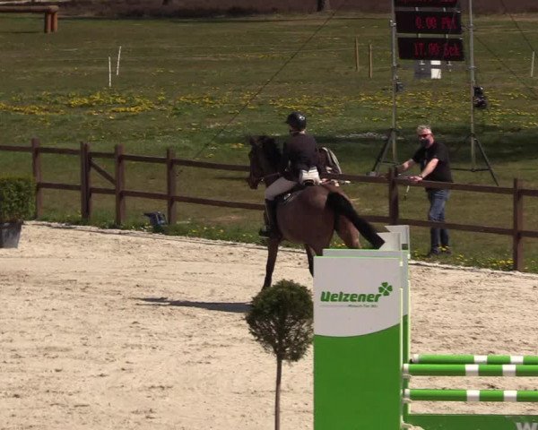 Reitturnier Westergellersen 2021