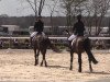 jumper Carlo Colucci 10 (Hanoverian, 2002, from Caprimond)