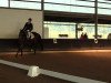 dressage horse Cocco Chanel 3 (Rhinelander, 2000, from Cordino)