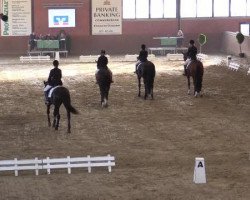 dressage horse Leon Cavallo (Westphalian, 1998, from Lamoureux I)