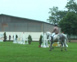 dressage horse Pepper 99 (Westphalian, 2000, from Piano II)