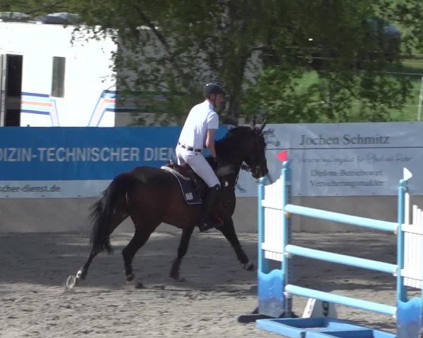 Reitturnier Monheim - Gut Blee 2021