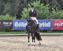 dressage horse Leonardo G (Holsteiner, 2005, from Lorentin I)