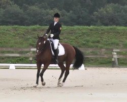 dressage horse Löwenherz 76 (Bavarian, 2003, from Luberon)