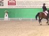 dressage horse Brentano 14 (German Riding Pony, 1996, from Black Dancer)