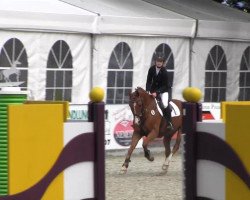 dressage horse Devencord (German Riding Pony, 2005, from Desperado K)