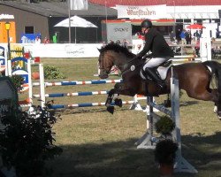 jumper Pippi Lotta 10 (Hanoverian, 2000, from Acorado I)