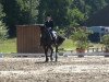 dressage horse Ricciolo nero (Bavarian, 2005, from Rubin Cortes OLD)