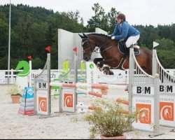 Springpferd Latika (Tschechisches Warmblut, 2009, von Lombard-1)