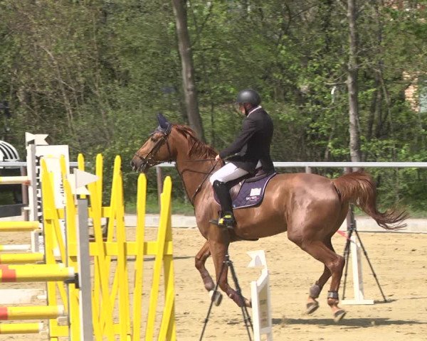 Reitturnier Winnenden 2021