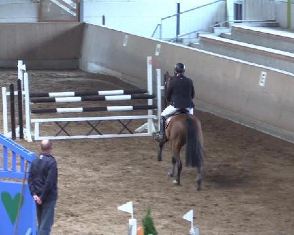 jumper Ronaldo 142 (Rhinelander, 2001, from Rosenfürst N)