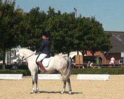 dressage horse Erbprinz (German Riding Pony, 2004, from Eldorrado)