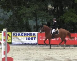 Springpferd Nirvana (Hessisches Warmblut, 2004, von Loriot H 3)