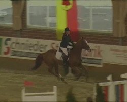 jumper Ready Steady Go 2 (Hanoverian, 2003, from Raphael)