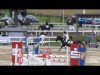 horse Waltraud 22 (Westphalian, 2000, from Weltrat)