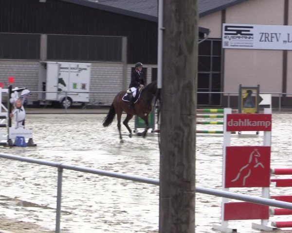 Reitturnier Olfen-Vinnum 2021