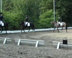 broodmare Cottage Girl (German Riding Pony, 2002, from Kaiserstolz)