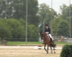 dressage horse Porte-Bonheur 3 (German Riding Pony, 2000, from Principal Boy)