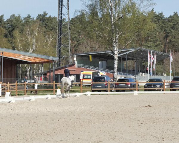 Reitturnier Westergellersen 2021