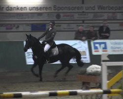 broodmare Choquita (Oldenburg show jumper, 2006, from Contendro I)