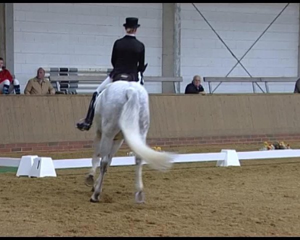 dressage horse Fidi 11 (Oldenburg, 2005, from Florencio I)