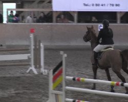 jumper Eternity 41 (Hanoverian, 2002, from Embassy I)