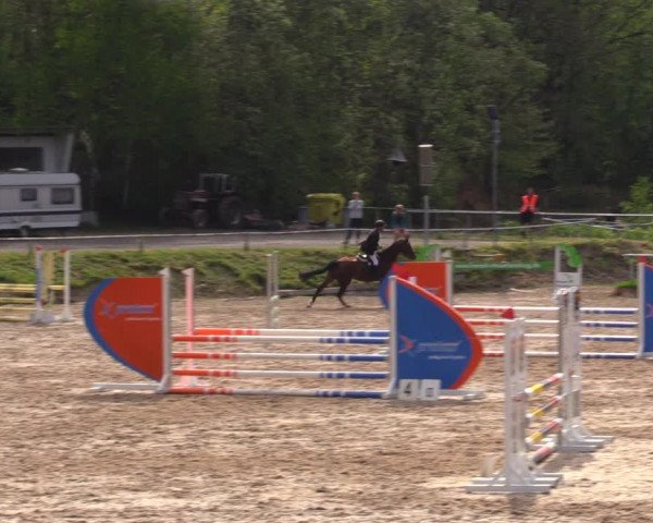 Reitturnier Lgl.-Oberhain, B95 2021