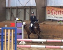 jumper Minnie's Noble Jolie (Oldenburg show jumper, 2006, from Cola 10)