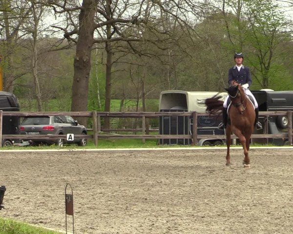 Reitturnier Schwanewede 2021